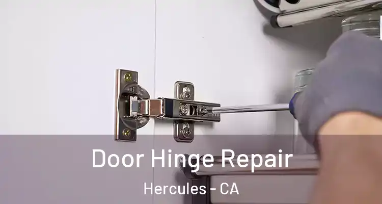  Door Hinge Repair Hercules - CA