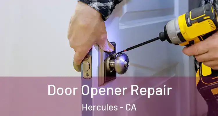 Door Opener Repair Hercules - CA