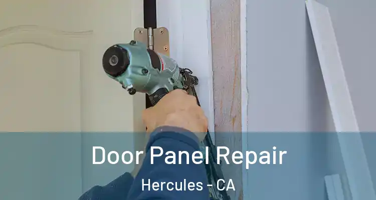  Door Panel Repair Hercules - CA