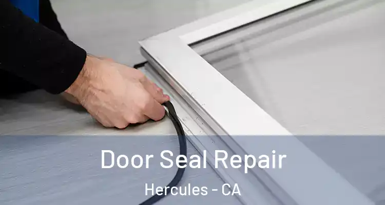  Door Seal Repair Hercules - CA