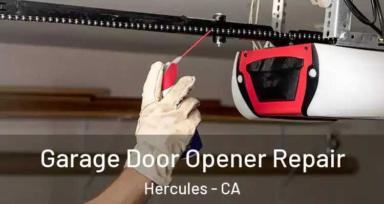  Garage Door Opener Repair Hercules - CA