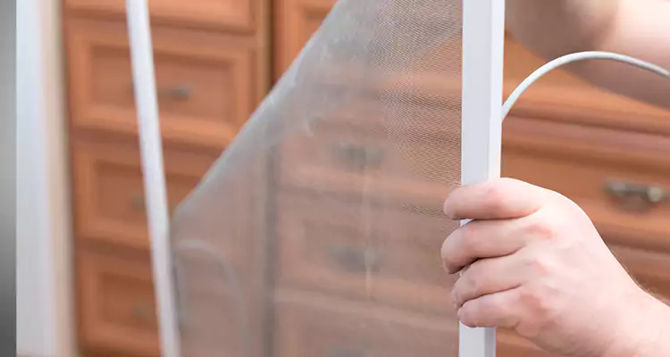 Privacy Mesh Screen Door Installation in Hercules, CA