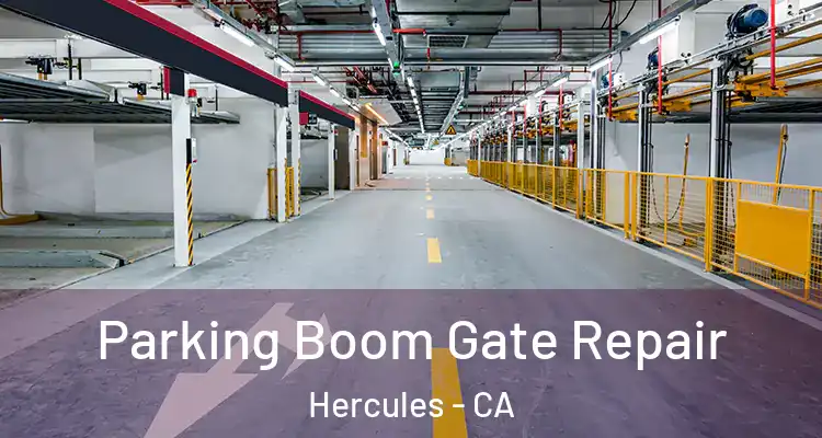  Parking Boom Gate Repair Hercules - CA