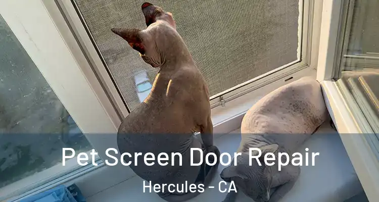  Pet Screen Door Repair Hercules - CA
