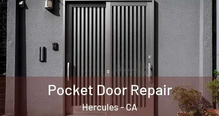  Pocket Door Repair Hercules - CA