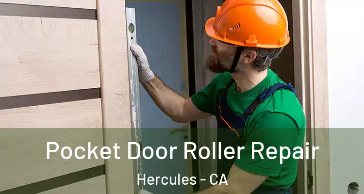  Pocket Door Roller Repair Hercules - CA