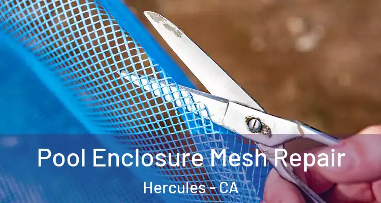  Pool Enclosure Mesh Repair Hercules - CA