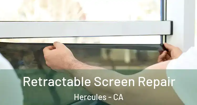  Retractable Screen Repair Hercules - CA