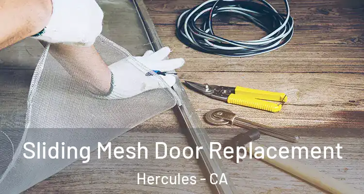  Sliding Mesh Door Replacement Hercules - CA