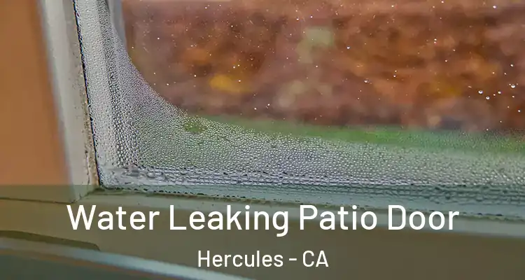  Water Leaking Patio Door Hercules - CA